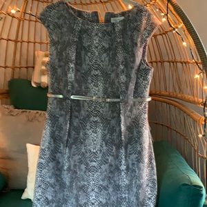 Calvin Klein gray and white snake print dress